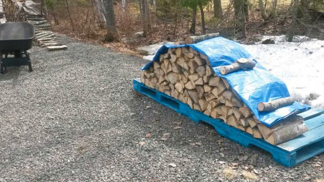 Fire Wood in Fishing, Camping & Outdoors in Moncton