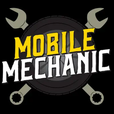 Professional Mobile Mechanic is here to get you back on the road fast! The fact that we are mobile m...