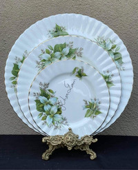 Royal Albert Trillium dinner plate set / dishes 