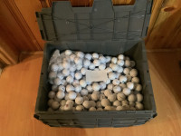 Used Golf Balls $5.00 a dozen or 1220 balls for $400.00