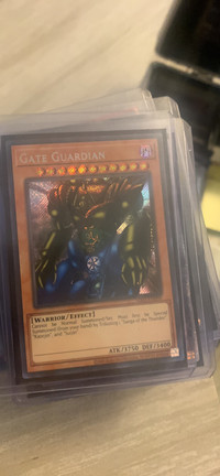 Gate guardian mrd en000 mint