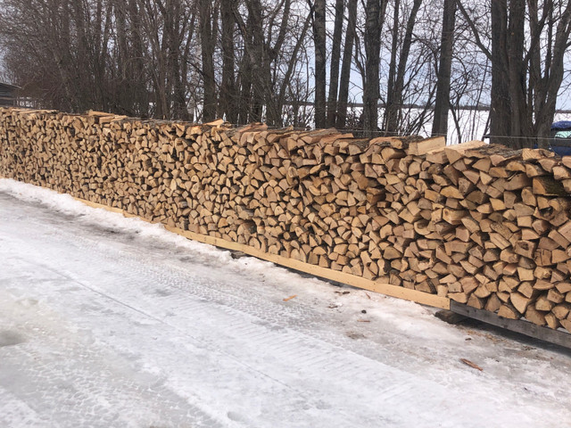  Hardwood Maple/oak Firewood  in Fireplace & Firewood in Sudbury - Image 2