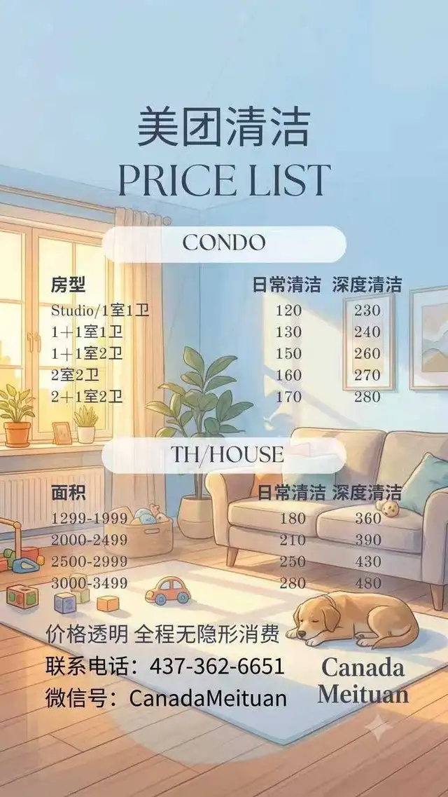 Cleaning service