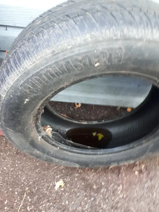 MotoMaster All Weather Tire(1) 215/65R16 in Tires & Rims in Ottawa - Image 3