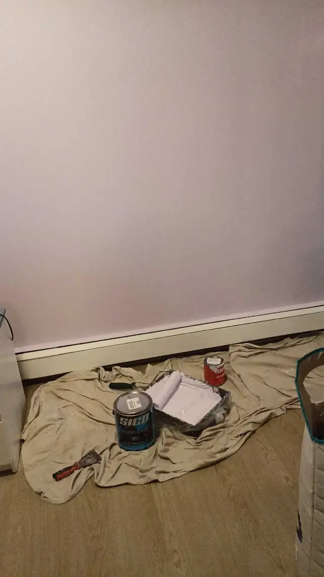 Home Renovation and Painting Services in Renovations, General Contracting & Handyman in Calgary - Image 6