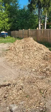 Mulch/woodchips 