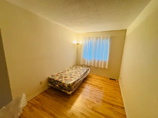 Private Rooms for Rent in Downtown Ottawa in Room Rentals & Roommates in Ottawa - Image 8
