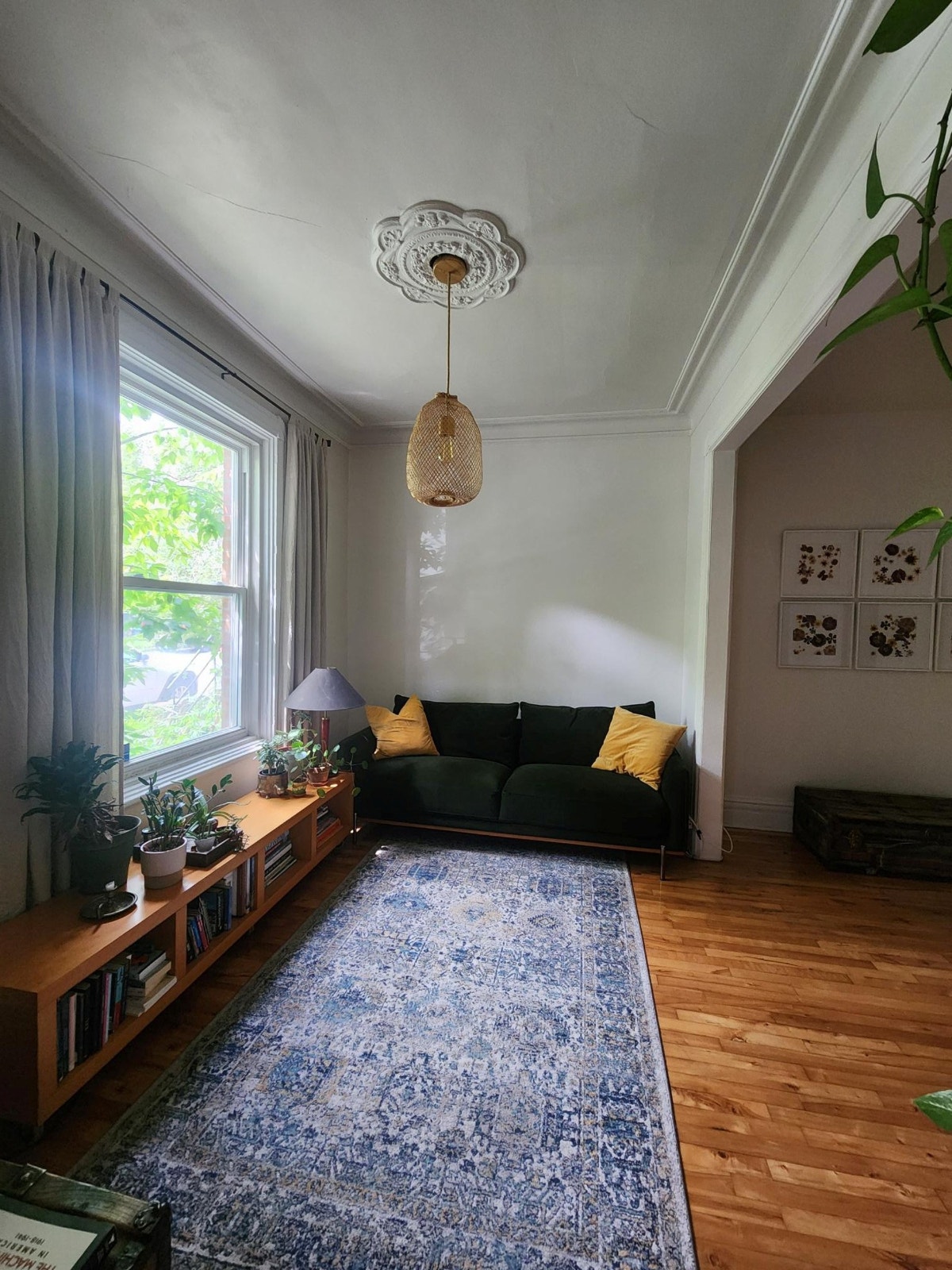 Appartement à louer (5 1/2 Rosemont-La Petite Patrie) — photo 3