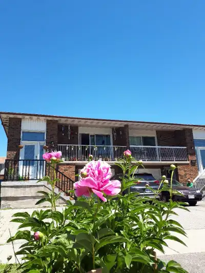 1 bedroom house