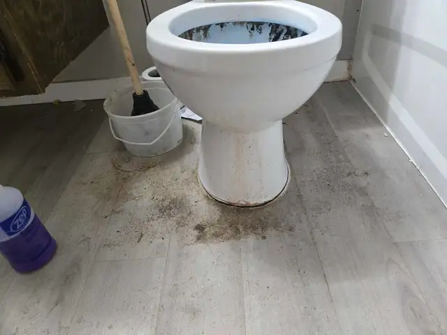 Cleaning515340100521185285