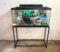 35 Gallon Fish Tank Complete Setup