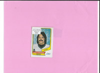 Vintage Hockey Rookie Card: 1976-77 OPC WHA #38 Terry Ruskowski