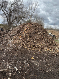 Forestry Mulch 