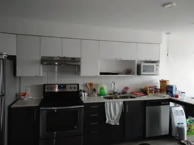 1 Bedroom in a 2 Bedroom Apartment available for rent on July 1