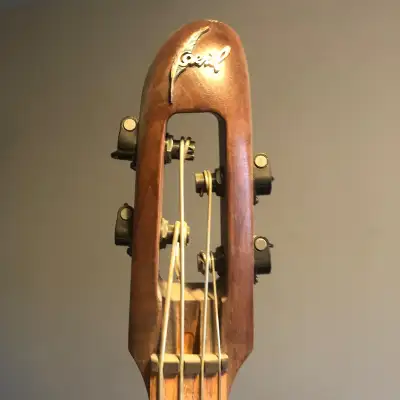 Double Bass Electric do not miss, View more