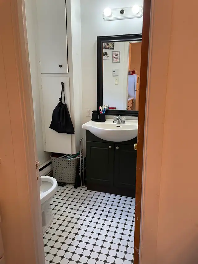 $900 Beau grand 3 1/2 à louer, secteur Maizereth in Long Term Rentals in Québec City - Image 8