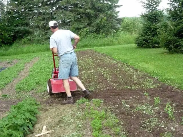 LAWN REPLACE , ROTOR TILL , TOP SOIL ,KENTUCKY SOD!!!64319062322817120