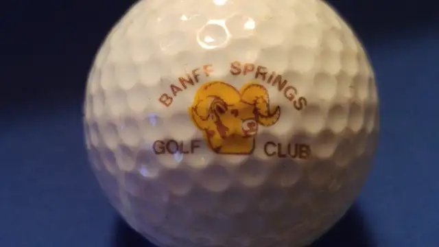 GOLF BALLS (VARIETY) 3 for $2 in Golf in Calgary - Image 10