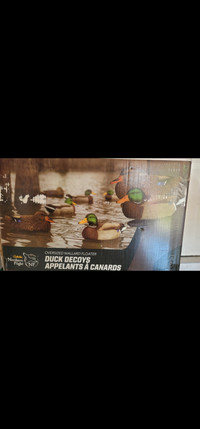 Cabellas Duck Decoys 12pcs