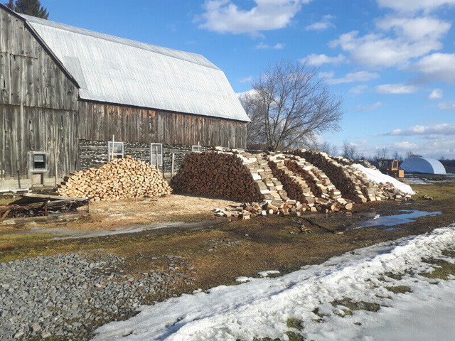 Hardwood firewood in Fireplace & Firewood in Ottawa - Image 2