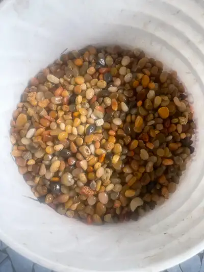 2 bags natural stone original cost $60.00, 3/4 of a 5 gallon pail for $20.00 pail included, no text,...