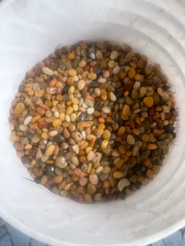 Aquarium Gravel Substrate in Accessories in Owen Sound - Image 2