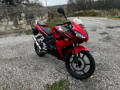 Honda CBR, clean title, New chain, new sprocket, new tires, custom exhaust. Perfect for anyone looki...