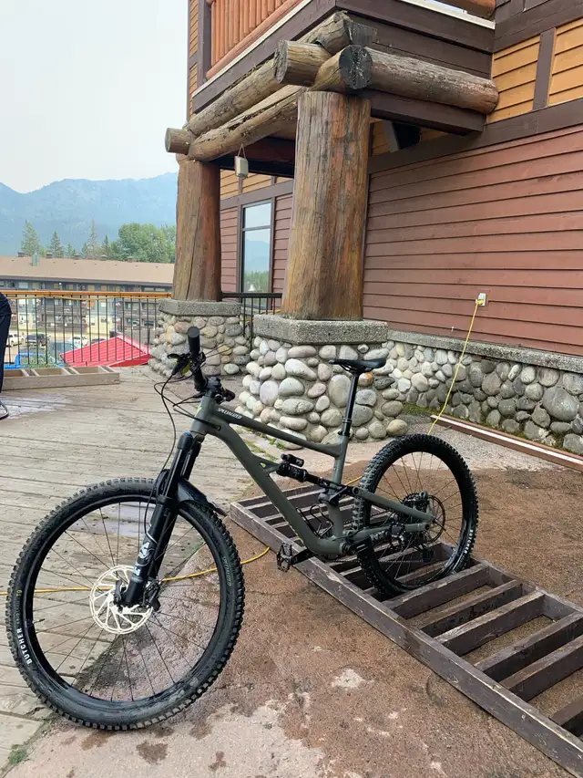 Specialized Status 14063234807104771121
