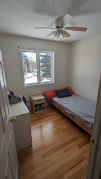 Furnished Room near Carleton U