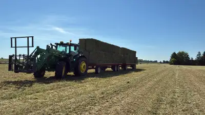Dry hay, View more