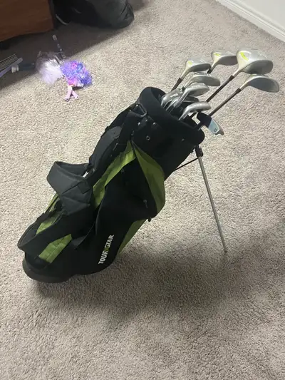 Nice set Wilson woman’s right hand clubs with some grips redone