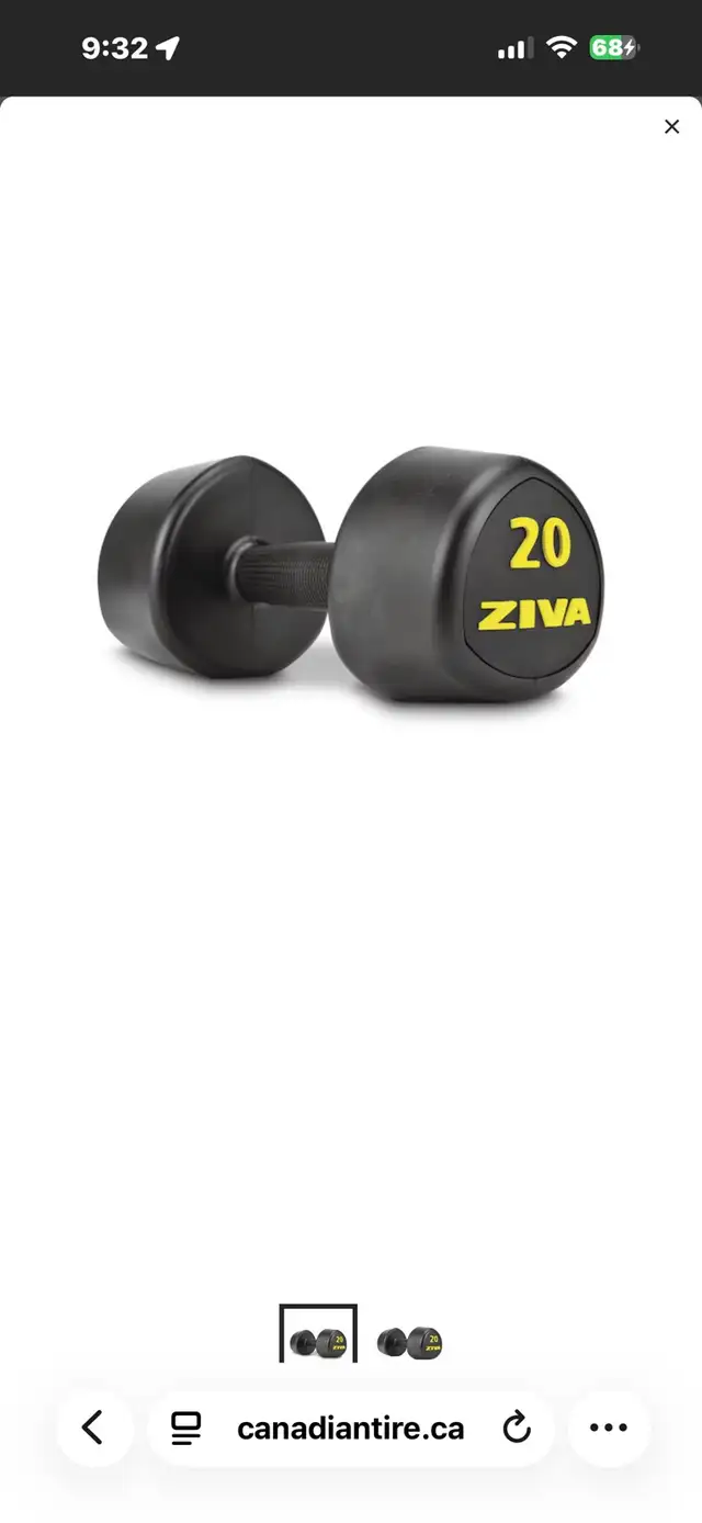 20 lb weights  in Exercise Equipment in Ottawa - Image 2