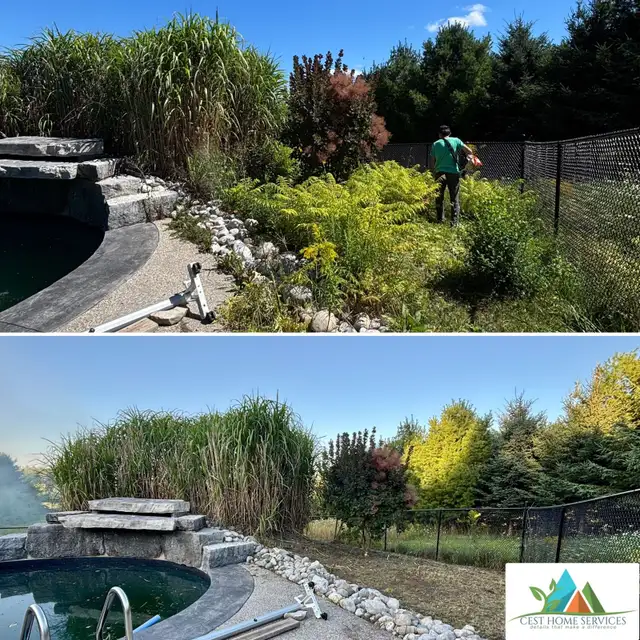 Lawn Mowing/Leaf Cleanup/Fall Cleanup/Yard Cleanup/Grass Cutting63672000006401124