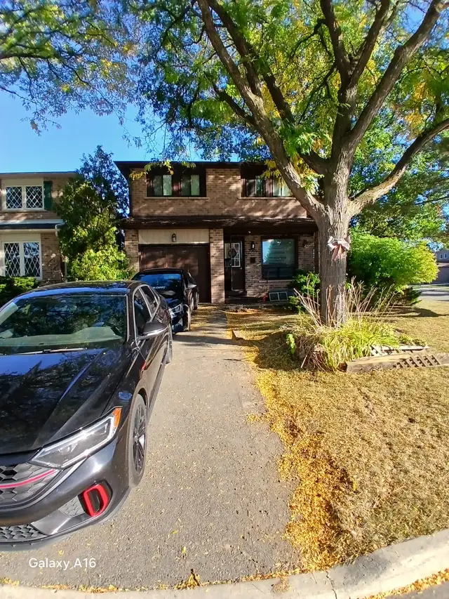 SHARED ROOM AVAILABLE IN MISSISSAUGA. HEART OF CITY