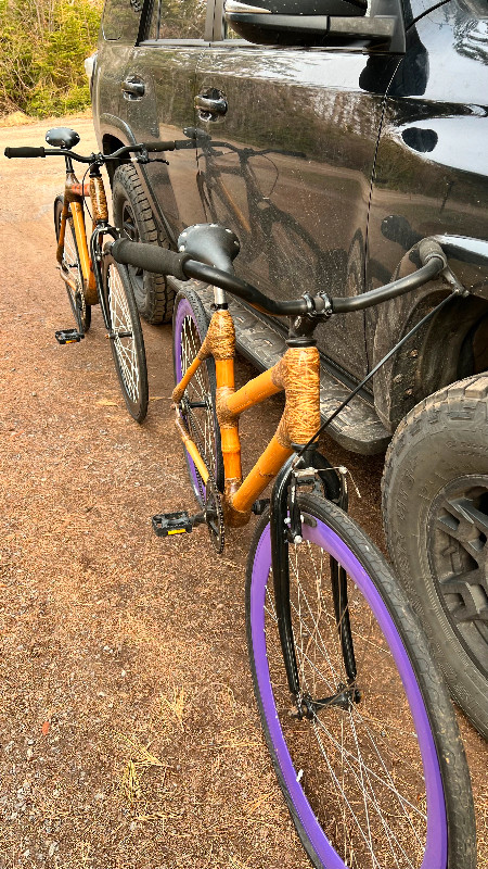 Danso Bamboo Bike - ladies only! in Cruiser, Commuter & Hybrid in Charlottetown - Image 2