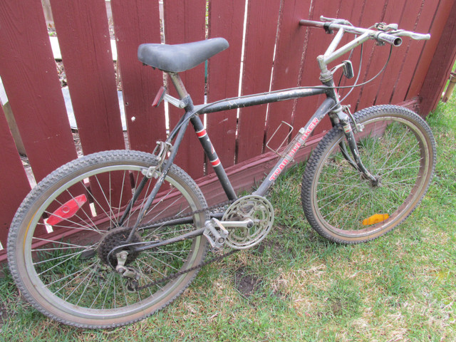 bicycle, youth in Kids in Vernon - Image 3