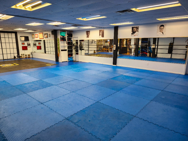 Club de boxe Boxe Élite Gatineau. Venez nous rejoindre! in Exercise Equipment in Gatineau