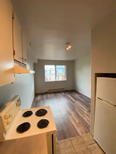 Newly updated bachelor unit in Durand