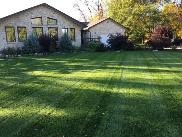 Weekly Lawn Maintenance - Spring Clean Ups in Lawn, Tree Maintenance & Eavestrough in Winnipeg - Image 2