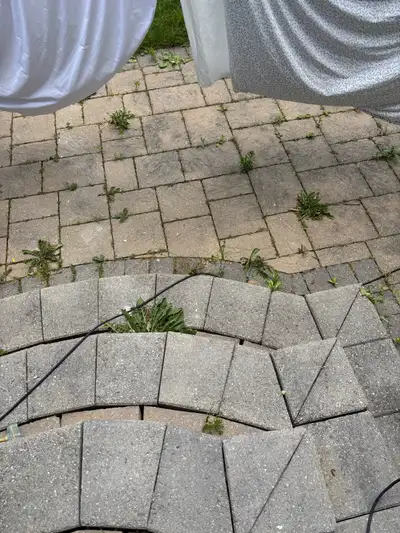 Interlock Repair & Restoration Is your interlock sinking uneven or full of weeds Eagle Landscape pro...