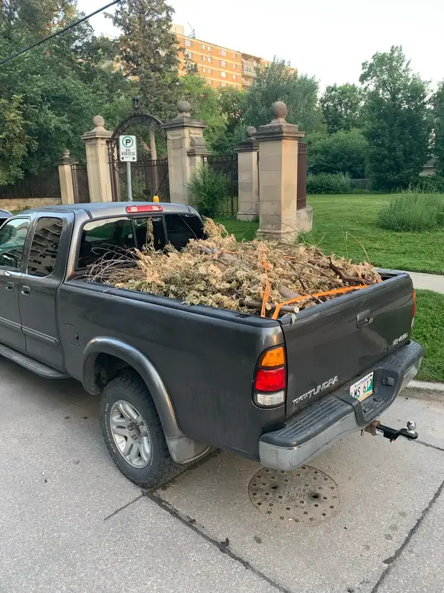 JUNK REMOVAL DUMPMRUN 536182764371322883