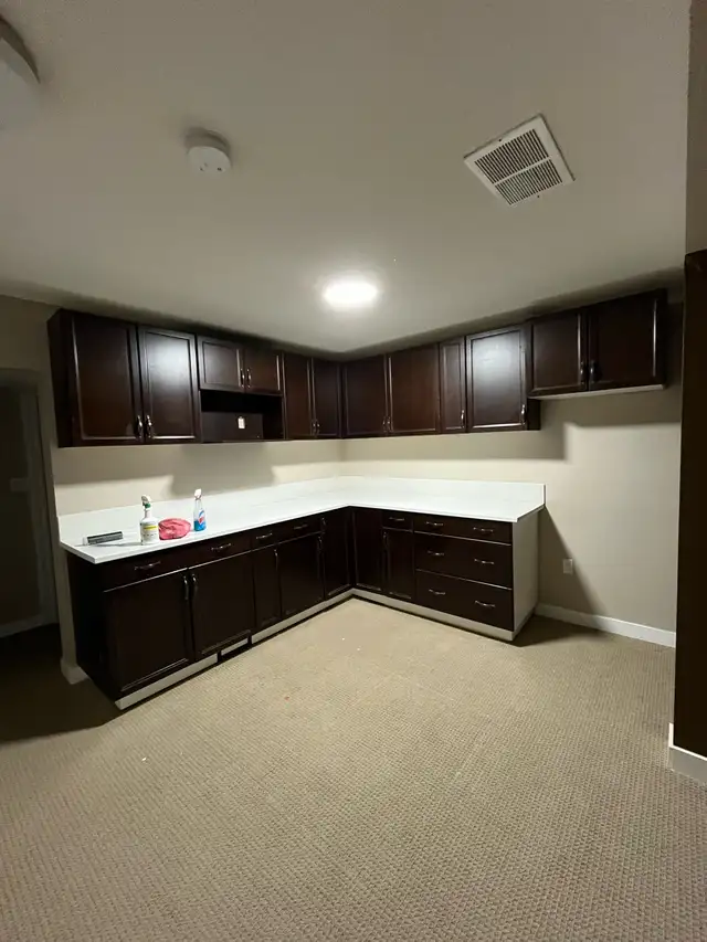 Handyman & Home Renovation Services553848912405473289