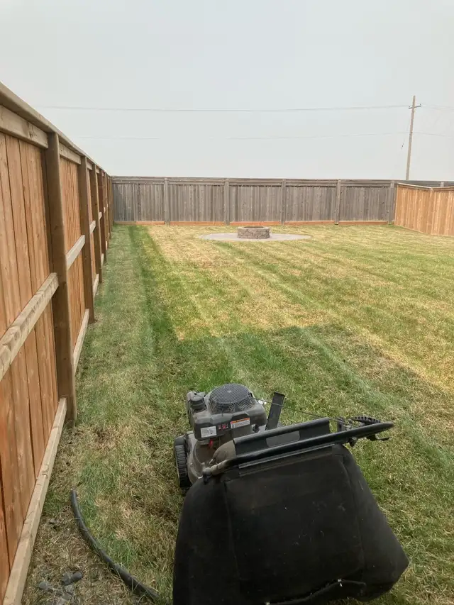 $100* Power Raking | $40* Lawn mowing63234884030723123