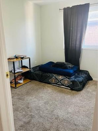  Room available for only Girls in Brampton near (mount pleasant)