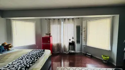 Room for rent near Sheridan College/Gateway terminal