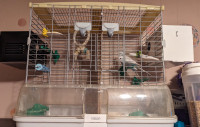 Cage a oiseaux