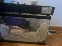 Fish tank for sale 