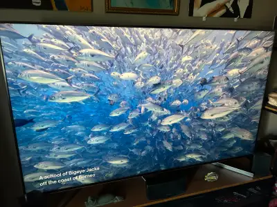 Sony Bravia 65-inch TV - XBR-65X950G, View more