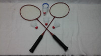 Badminton (raquettes)