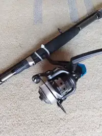 Quantum Metrix Fishing Rod